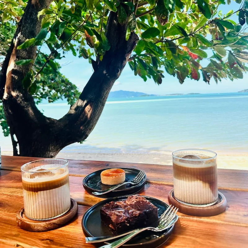 พาหมาเที่ยวเกาะสมุย 2569 มัดรวมหาด คาเฟ่ จุดชมวิว และการเดินทาง Pet Friendly