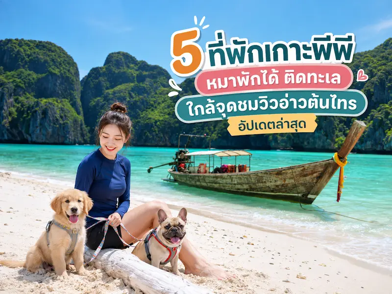 5 ที่พักเกาะพีพี หมาพักได้ Pet-Friendly ติดทะเล ใกล้จุดชมวิวอ่าวต้นไทร หมาใหญ่พักได้ อัปเดตล่าสุด