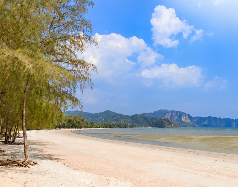 พาหมาเที่ยวกระบี่ แนะนำที่เที่ยวหมาเข้าได้ ชายหาด ธรรมชาติ และทริปเที่ยวเกาะ