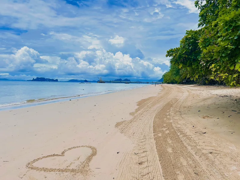 พาหมาเที่ยวกระบี่ แนะนำที่เที่ยวหมาเข้าได้ ชายหาด ธรรมชาติ และทริปเที่ยวเกาะ