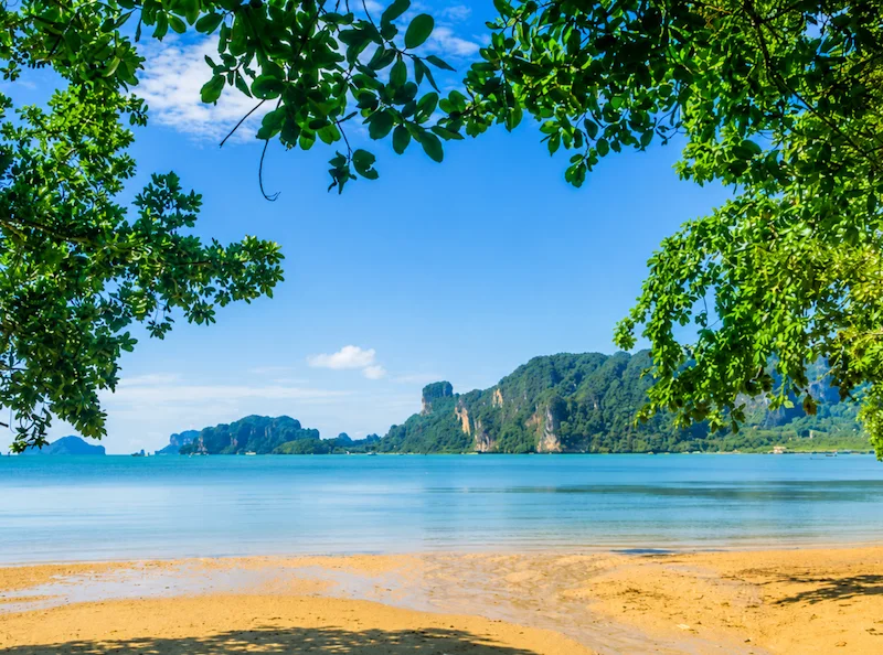 พาหมาเที่ยวกระบี่ แนะนำที่เที่ยวหมาเข้าได้ ชายหาด ธรรมชาติ และทริปเที่ยวเกาะ