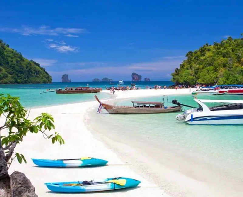 พาหมาเที่ยวกระบี่ แนะนำที่เที่ยวหมาเข้าได้ ชายหาด ธรรมชาติ และทริปเที่ยวเกาะ