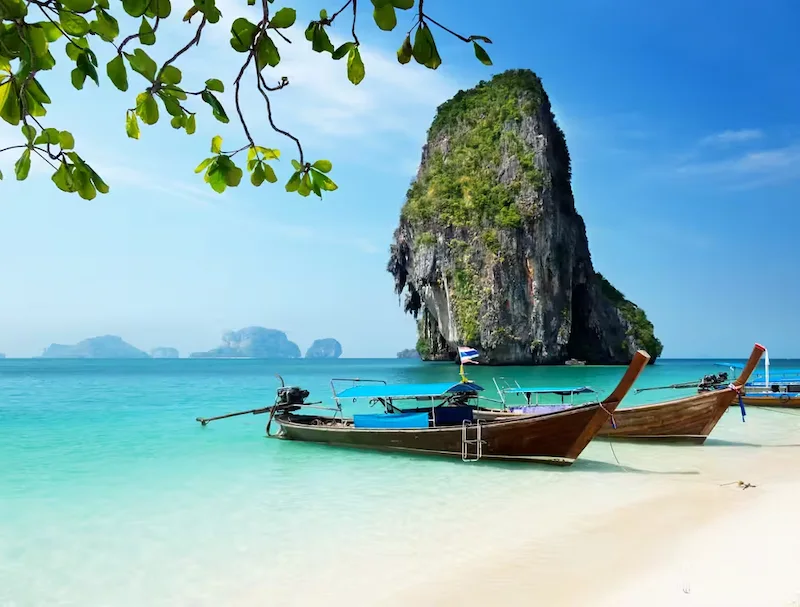 พาหมาเที่ยวกระบี่ แนะนำที่เที่ยวหมาเข้าได้ ชายหาด ธรรมชาติ และทริปเที่ยวเกาะ