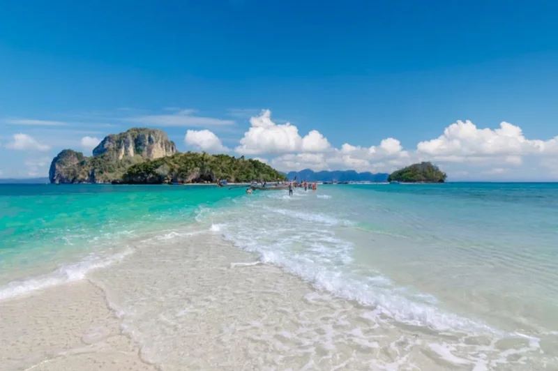พาหมาเที่ยวกระบี่ แนะนำที่เที่ยวหมาเข้าได้ ชายหาด ธรรมชาติ และทริปเที่ยวเกาะ