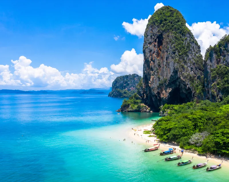 พาหมาเที่ยวกระบี่ แนะนำที่เที่ยวหมาเข้าได้ ชายหาด ธรรมชาติ และทริปเที่ยวเกาะ
