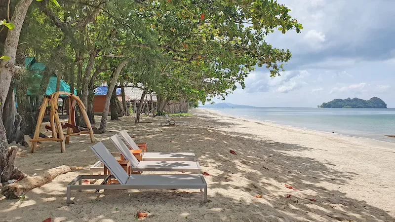 พาหมาเที่ยวกระบี่ แนะนำที่เที่ยวหมาเข้าได้ ชายหาด ธรรมชาติ และทริปเที่ยวเกาะ