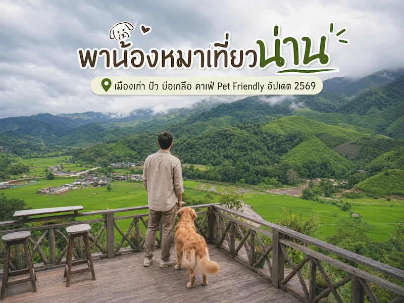 ภาพประกอบ:พาน้องหมาเที่ยวน่าน เมืองเก่า ปัว บ่อเกลือ คาเฟ่ Pet Friendly อัปเดต 2569