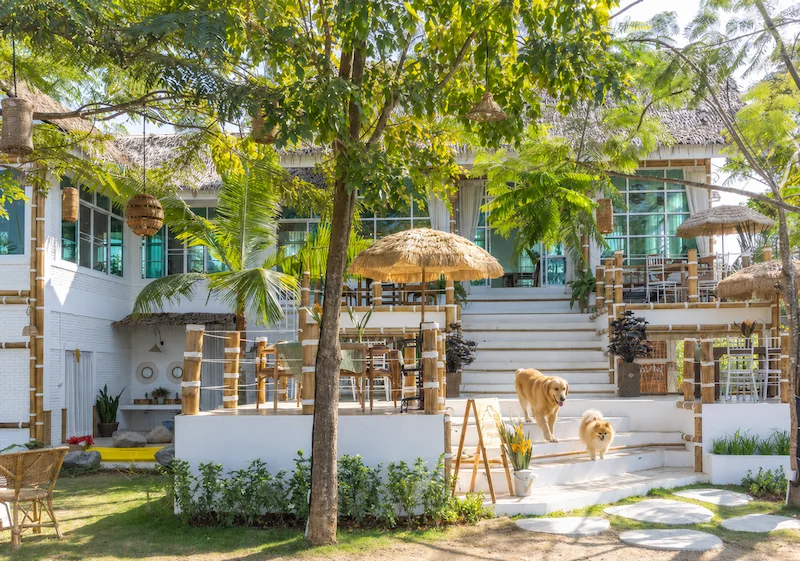 พาน้องหมาเที่ยวน่าน เมืองเก่า ปัว บ่อเกลือ และคาเฟ่ Pet Friendly อัปเดต 2569