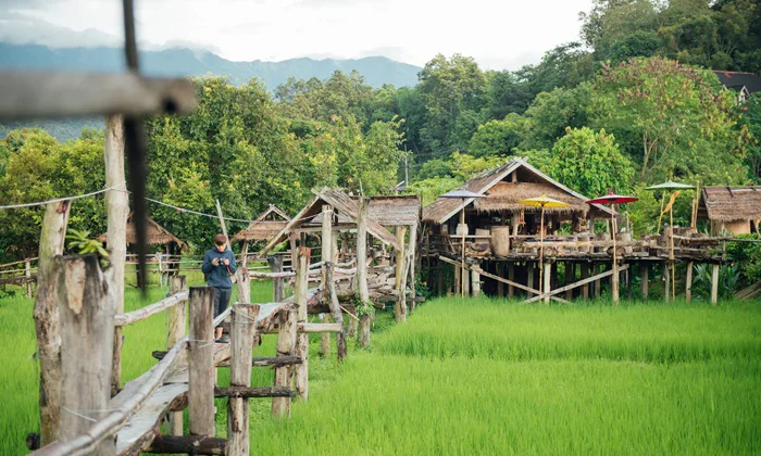 พาน้องหมาเที่ยวน่าน เมืองเก่า ปัว บ่อเกลือ และคาเฟ่ Pet Friendly อัปเดต 2569