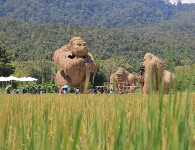 ที่พักในตัวเมืองเชียงใหม่ หมาพักได้ ใกล้นิมมาน ท่าแพ สนามบิน อัปเดต 2569