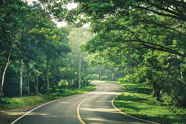 ที่พักในตัวเมืองเชียงใหม่ หมาพักได้ ใกล้นิมมาน ท่าแพ สนามบิน อัปเดต 2569