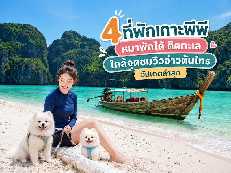 4 ที่พักเกาะพีพี หมาพักได้ Pet-Friendly ติดทะเล ใกล้จุดชมวิวอ่าวต้นไทร หมาใหญ่พักได้ อัปเดตล่าสุด