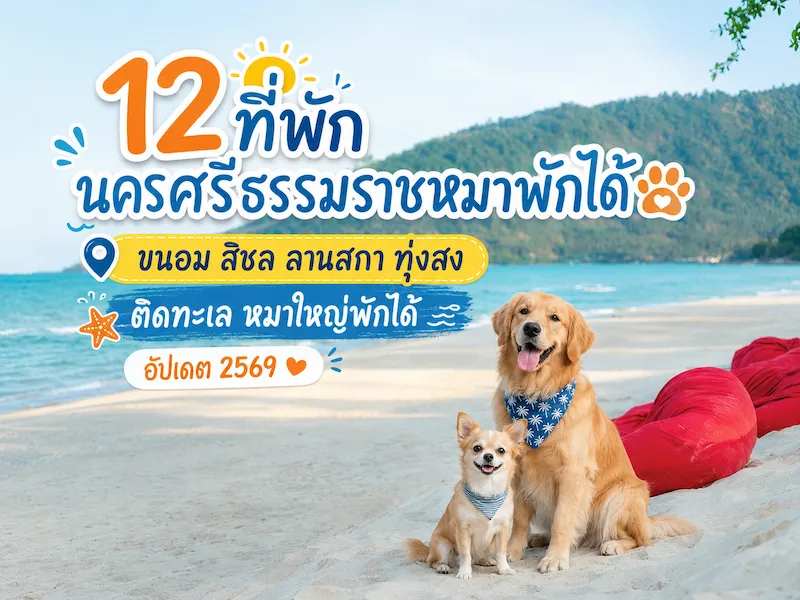 ภาพประกอบ:12 ที่พักนครศรีธรรมราชหมาพักได้ ขนอม สิชล ลานสกา ทุ่งสง ติดทะเล หมาใหญ่พักได้ อัปเดต 2569