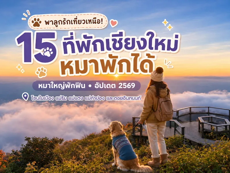 15 ที่พักเชียงใหม่ หมาพักได้ ในเมือง แม่ริม แม่แตง แม่กำปอง อัปเดต 2569