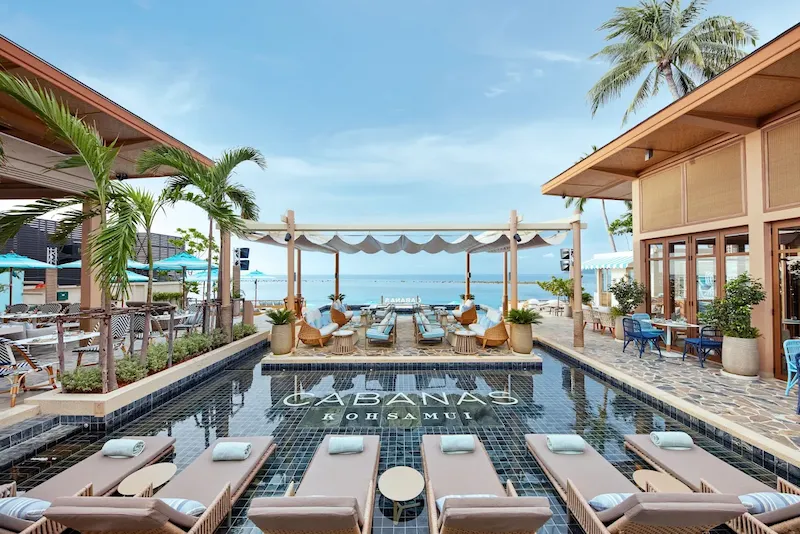 Marasca Samui-หมาพักได้.webp