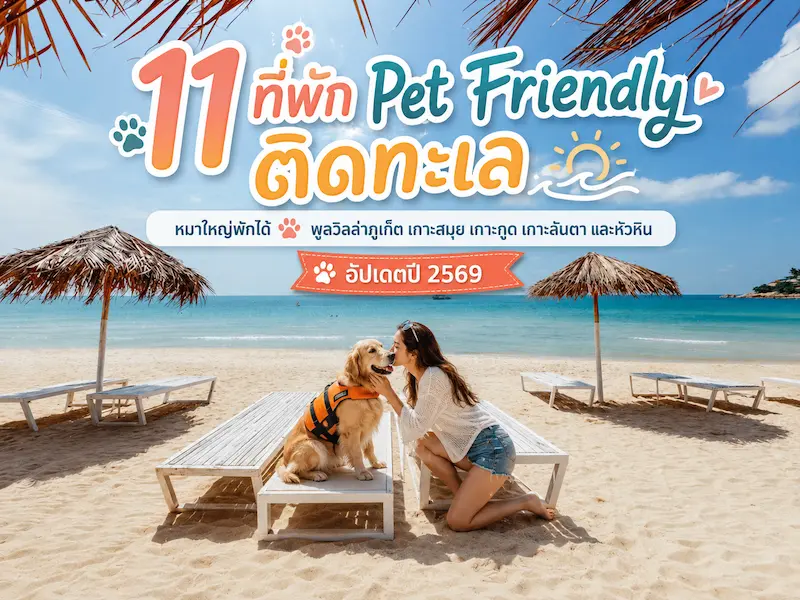 11-pet-friendly-beach-hotels-thailand-2569.webp