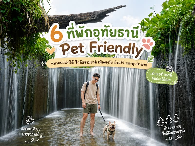 6 ที่พักอุทัยธานีหมาแมวพักได้ ใกล้ธรรมชาติ บ้านไร่ หุบป่าตาด อัปเดต