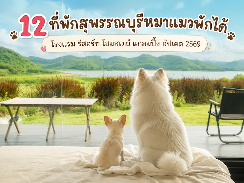 12 ที่พักสุพรรณบุรีหมาแมวพักได้ โรงแรม รีสอร์ท โฮมสเตย์ แกลมปิ้ง อัปเดต 2569