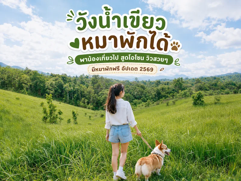 วังน้ำเขียว หมาพักได้ พาน้องเที่ยวไป สูดโอโซน วิวสวยๆ ใกล้กรุงเทพ