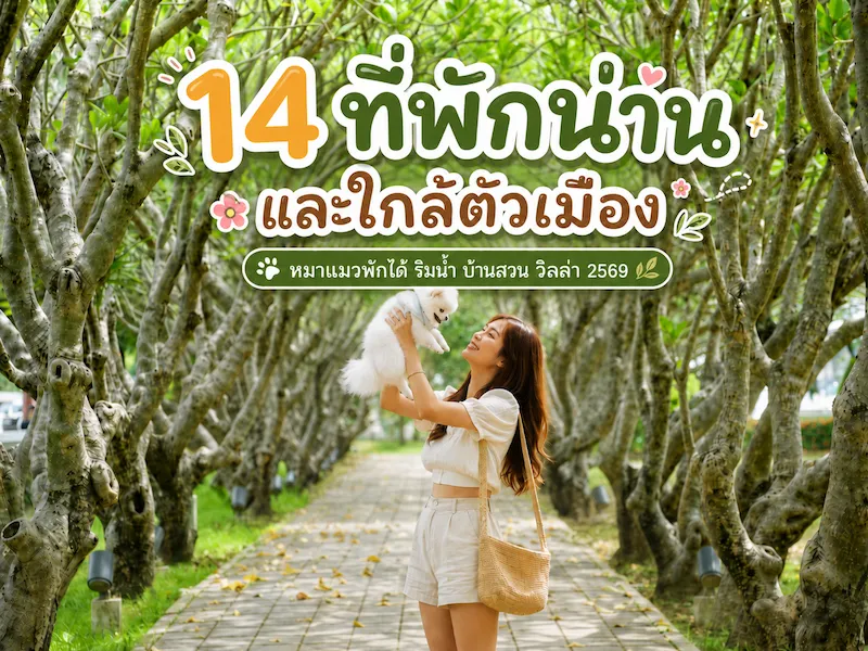 14 ที่พักเมืองน่านและใกล้ตัวเมือง หมาแมวพักได้ ริมน้ำ บ้านสวน วิลล่า 2569