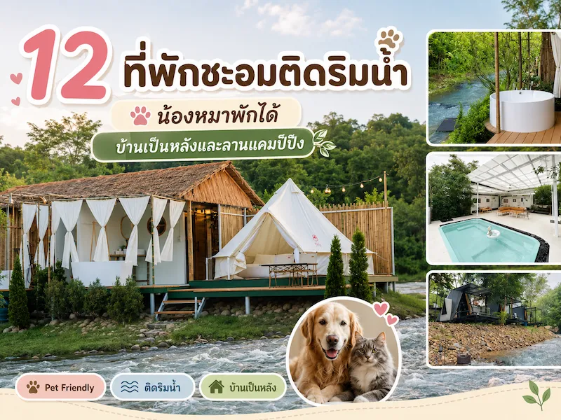 12 ที่พักชะอม หมาพักได้ ติดริมน้ำ แคมป์ปิ้ง สระบุรี  และหมาใหญ่พักได้