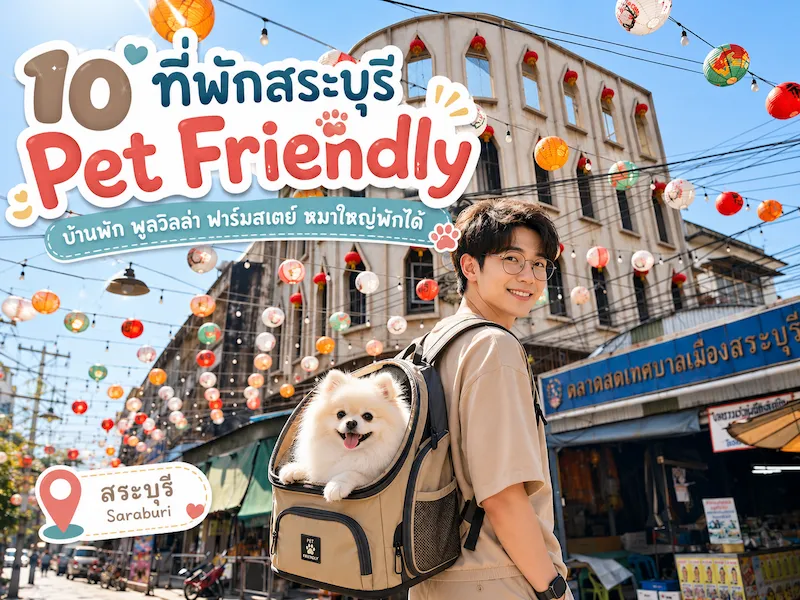 ภาพประกอบ:10 ที่พักสระบุรีในตัวเมือง Pet Friendly หมาใหญ่พักได้ อัปเดต 2569