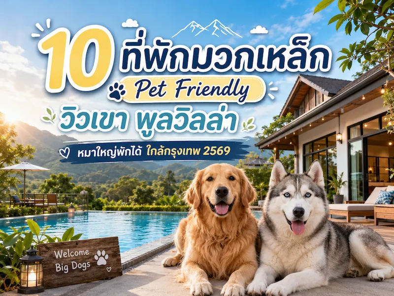 ภาพประกอบ:10 ที่พักมวกเหล็ก Pet Friendly วิวเขา พูลวิลล่า หมาใหญ่พักได้ ใกล้กรุงเทพ 2569