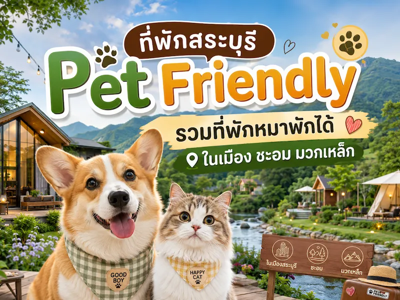 ที่พักสระบุรี Pet Friendly 2569 รวมที่พักหมาพักได้ ในเมือง ชะอม มวกเหล็ก