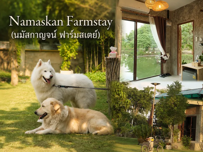 Namaskan-Farmstay-ที่พักกาญราคาถูก-หมาพักได้.webp