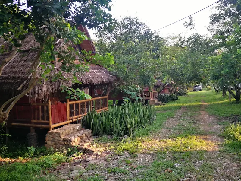 บ้านไร่-วิมานดิน-รีสอร์ท-แคมป์ปิ้ง-ทองผาภูมิหมาพักได้.webp