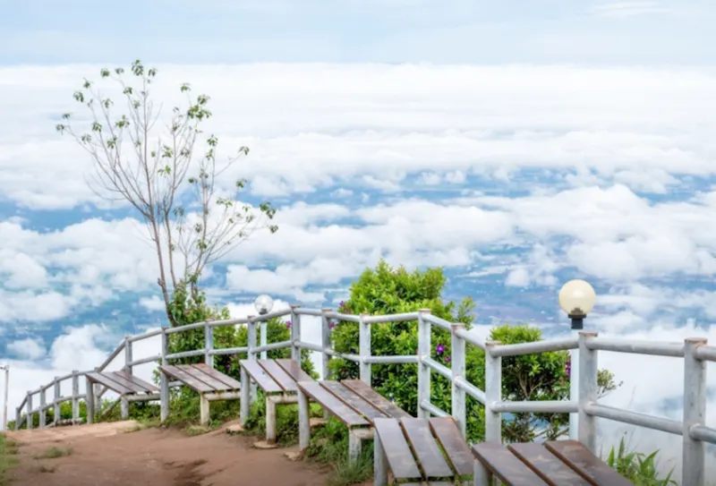 ภาพถ่ายหน้าจอ 2569-08-03 เวลา 14.59.46.webp