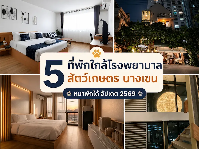 5 ที่พักใกล้โรงพยาบาลสัตว์เกษตร บางเขน หมาพักได้ อัปเดต 2569