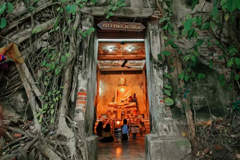 ที่พักวัดบางกุ้ง-หมาพักได้.webp