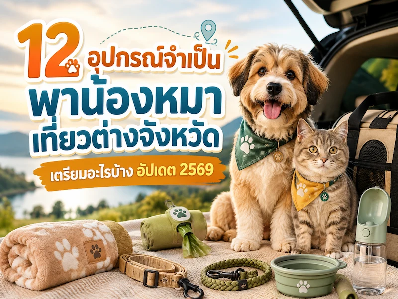 12 อุปกรณ์จำเป็น พาน้องหมาเที่ยวต่างจังหวัด เตรียมอะไรบ้าง
