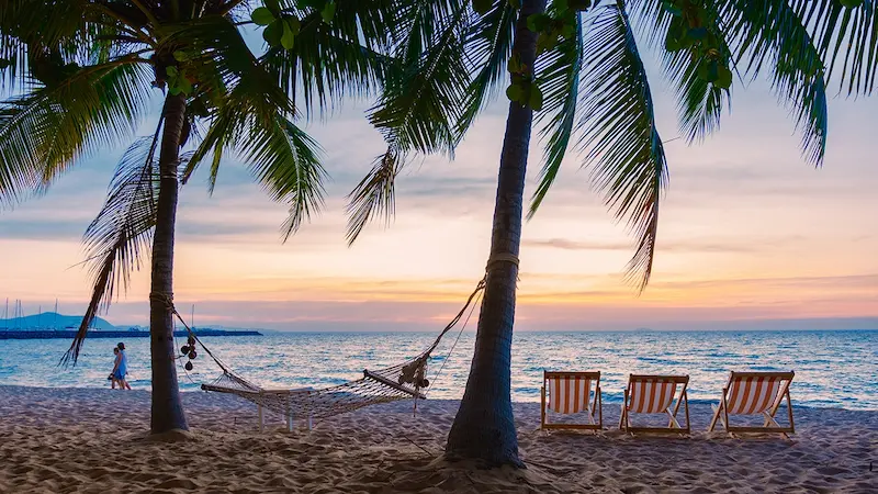 หาดนาจอมเทียน-พาหมาเที่ยวพัทยา (1).webp