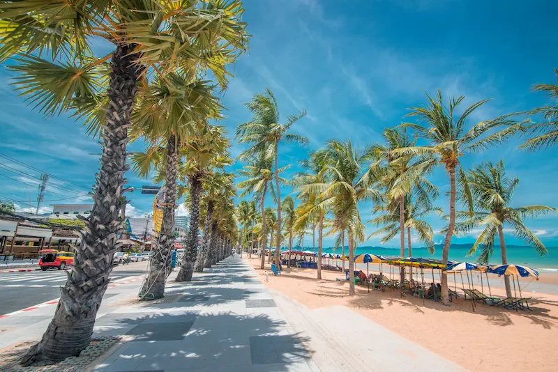 หาดจอมเทียน-พาหมาเที่ยวพัทยา.webp