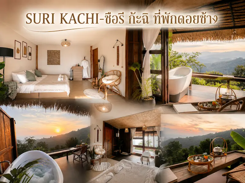 5 ที่พักดอยช้างหมาพักได้ Pet Friendly เชียงราย วิวภูเขา อัปเดต 2569