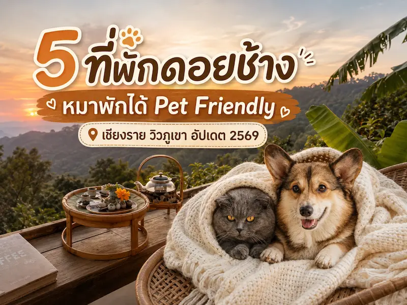 ภาพประกอบ:5 ที่พักดอยช้างหมาพักได้ Pet Friendly เชียงราย วิวภูเขา อัปเดต 2569