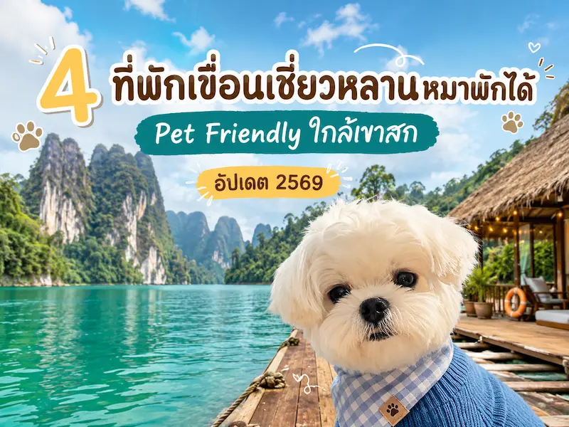 ภาพประกอบ:4 ที่พักเขื่อนเชี่ยวหลานหมาพักได้ Pet Friendly ใกล้เขาสก อัปเดต 2569