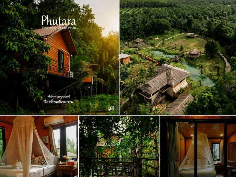 ภูธาราทรีเฮาส์แอทเชี่ยวหลาน-หมาพักได้.webp