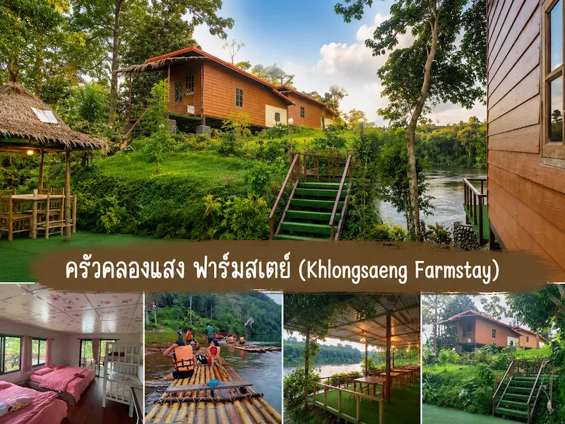 ครัวคลองแสง-ฟาร์มสเตย์-สุราษหมาพักได้.webp