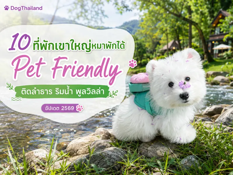 ภาพประกอบ:10 ที่พักเขาใหญ่หมาพักได้ Pet Friendly ติดลำธาร ริมน้ำ พูลวิลล่า อัปเดต 2569