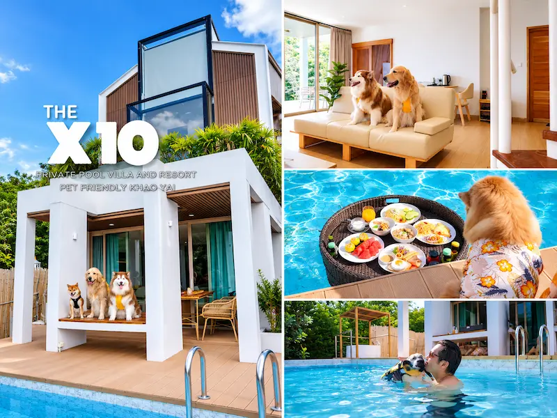 10 ที่พักเขาใหญ่หมาพักได้ Pet Friendly ติดลำธาร ริมน้ำ พูลวิลล่า อัปเดต 2569