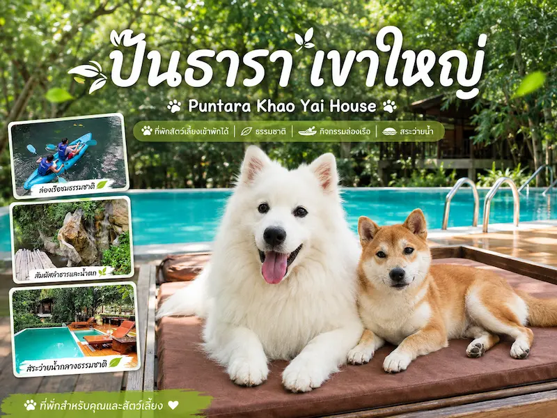 10 ที่พักเขาใหญ่หมาพักได้ Pet Friendly ติดลำธาร ริมน้ำ พูลวิลล่า อัปเดต 2569