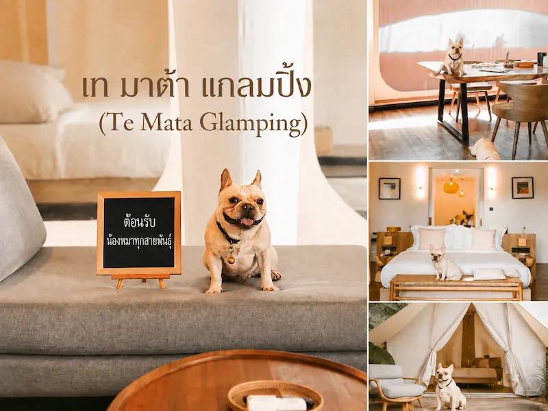 10 ที่พักเขาใหญ่หมาพักได้ Pet Friendly ติดลำธาร ริมน้ำ พูลวิลล่า อัปเดต 2569