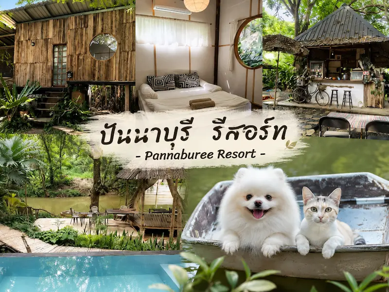 10 ที่พักเขาใหญ่หมาพักได้ Pet Friendly ติดลำธาร ริมน้ำ พูลวิลล่า อัปเดต 2569