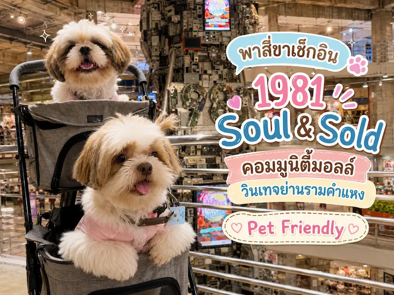 ภาพประกอบ:รีวิว 1981 Soul & Sold รามคำแหง หมาเข้าได้ไหม? เช็กกฎ Pet Friendly ล่าสุด