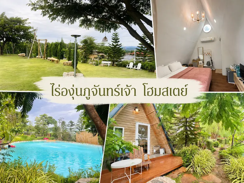 10 ที่พักมวกเหล็ก Pet Friendly วิวเขา พูลวิลล่า หมาใหญ่พักได้ ใกล้กรุงเทพ 