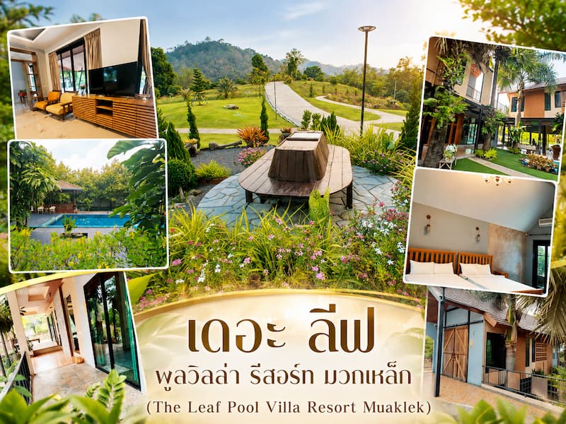 10 ที่พักมวกเหล็ก Pet Friendly วิวเขา พูลวิลล่า หมาใหญ่พักได้ ใกล้กรุงเทพ 