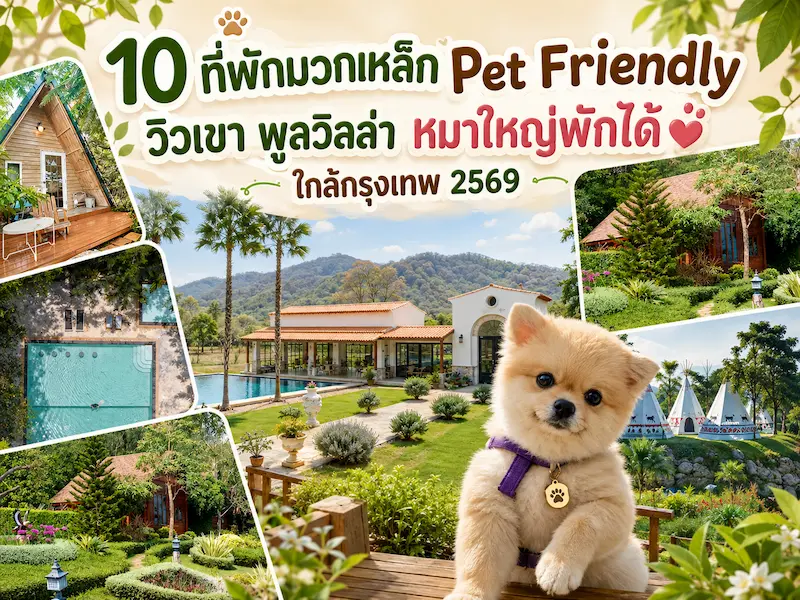 10 ที่พักมวกเหล็ก Pet Friendly วิวเขา พูลวิลล่า หมาใหญ่พักได้ ใกล้กรุงเทพ 